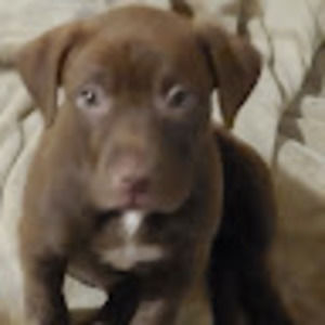 Meet your Posher, Kristina